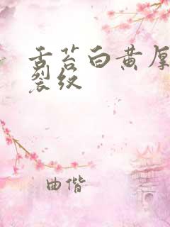 舌苔白黄厚腻有裂纹