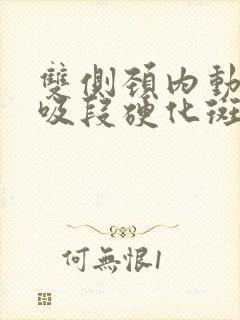 双侧颈内动脉虹吸段硬化斑块形成