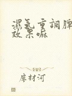 湿气重调脾胃有效果嘛