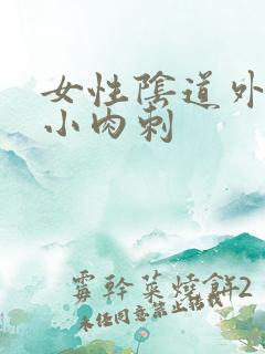 女性阴道外阴口小肉刺