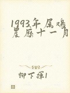 1993年属鸡农历十一月的一生命运