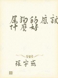 属狗的应该佩戴什么好