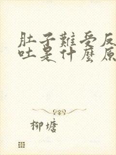 肚子难受反胃想吐是什么原因