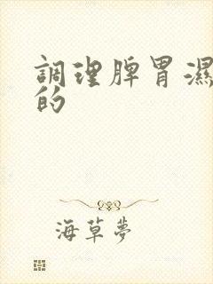 调理脾胃湿气重的