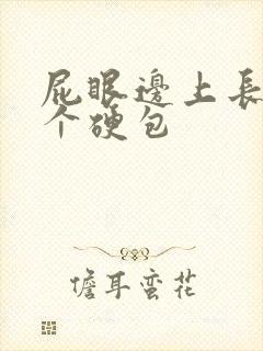 屁眼边上长了一个硬包