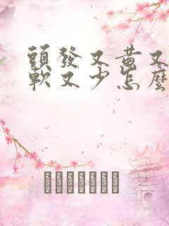 头发又黄又细又软又少怎么办