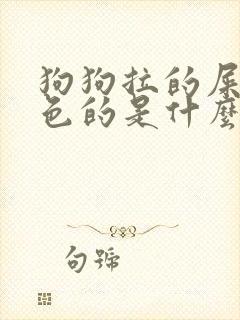 狗狗拉的屎是黑色的是什么原因