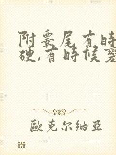 附睾尾有时候变硬,有时候变软