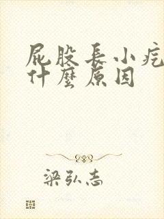 屁股长小疙瘩是什么原因