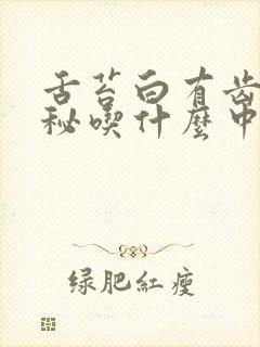 舌苔白有齿痕便秘吃什么中成药