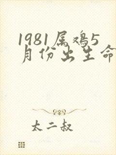 1981属鸡5月份出生命运如何