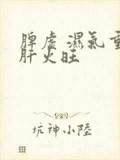 脾虚 湿气重 肝火旺