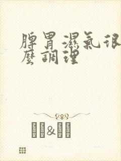 脾胃湿气很重怎么调理