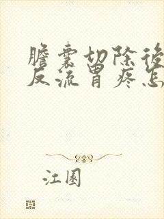 胆囊切除后胆汁反流胃疼怎么办