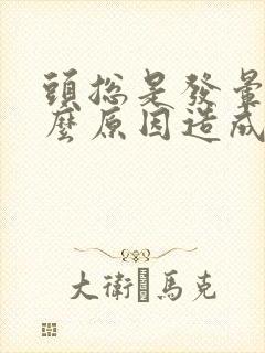 头总是发晕是什么原因造成的