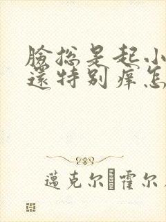 脸总是起小疙瘩还特别痒怎么回事