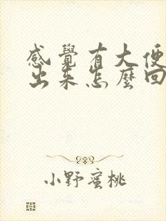 感觉有大便拉不出来怎么回事