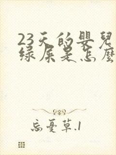 23天的婴儿拉绿屎是怎么回事