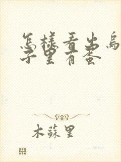 怎样看出乌龟肚子里有蛋