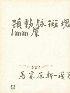 颈动脉斑块2.1mm厚