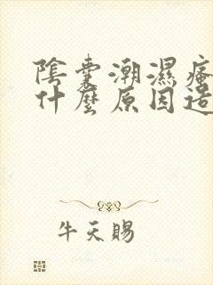 阴囊潮湿瘙痒是什么原因造成的,怎么治疗