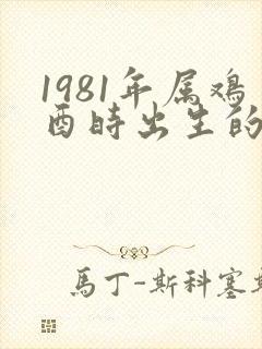 1981年属鸡酉时出生的命运