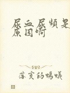 尿血尿频是什么原因啊