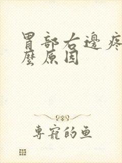 胃部右边疼是什么原因