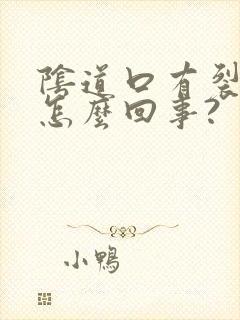 阴道口有裂口是怎么回事?