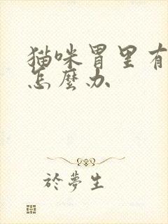 猫咪胃里有毛球怎么办