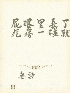 屁眼里长了个硬疙瘩一碰就很疼