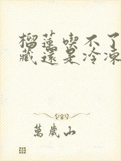 榴莲吃不了是冷藏还是冷冻