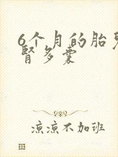 6个月的胎儿左肾多囊