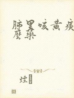 肺里咳黄痰吃什么药