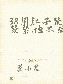 38周肚子发硬发紧,但不痛