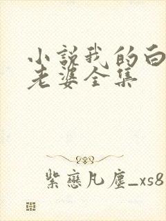 小说我的白富美老婆全集