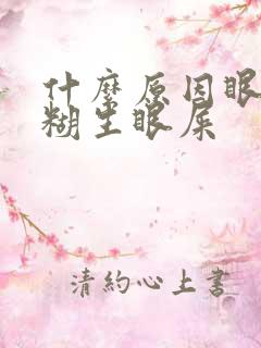 什么原因眼睛模糊生眼屎