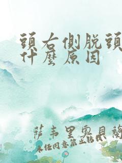 头右侧脱头发是什么原因