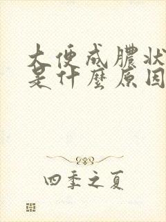 大便成脓状粘液是什么原因