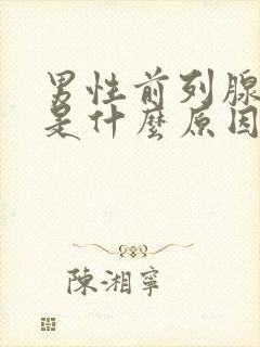 男性前列腺钙化是什么原因引起的