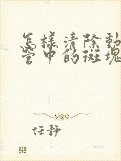 怎样清除动脉血管中的斑块