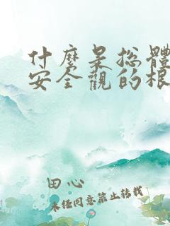 什么是总体国家安全观的根本