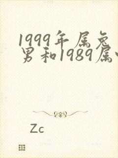 1999年属兔男和1989属蛇女合适吗