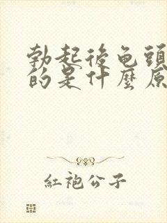 勃起后龟头是软的是什么原因