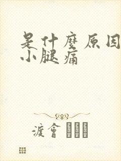 是什么原因引起小腿痛