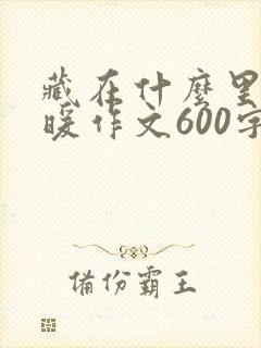 藏在什么里的温暖作文600字