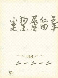 小狗尿红色的尿是怎么回事