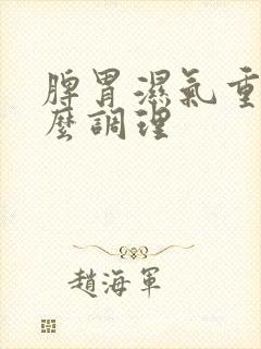 脾胃湿气重 怎么调理