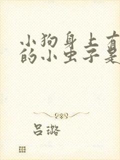 小狗身上有黑色的小虫子是什么虫?