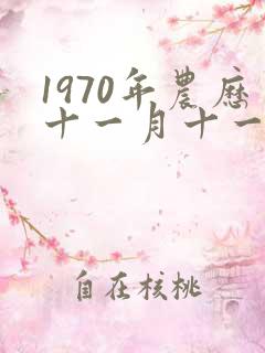 1970年农历十一月十一的女狗
